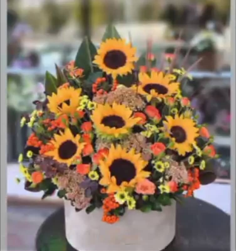 گل فروشی پالیز در خمین